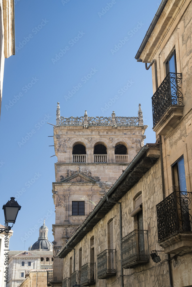 Salamanca (Spain): historic Monterrey Palace