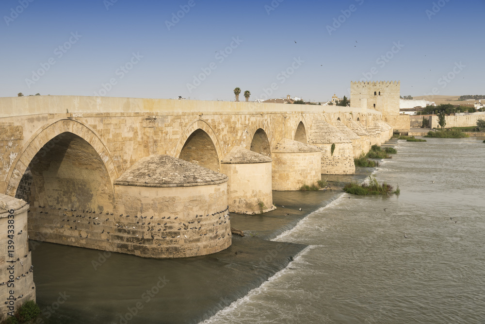 Cordoba (Andalucia, Spain): Roman bridge