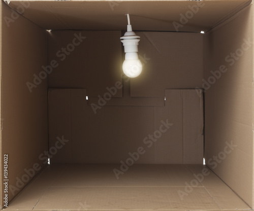 Canvas Print Cardboard Box with Bare Light Bulb, representing cramped small place