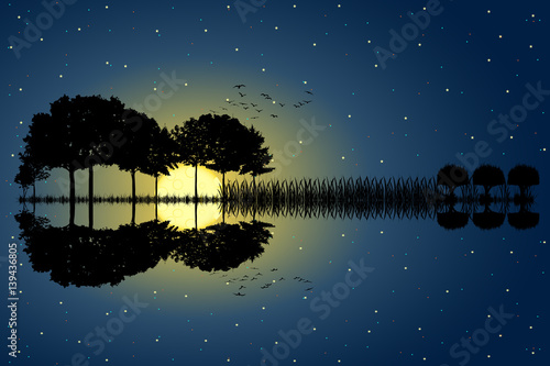 Trees arranged in a shape of a guitar on a starry sky background in a full moon night. Music island with a guitar reflection in water. Vector illustration design.