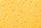 close-up texture of yellow sponge
