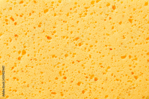 close-up texture of yellow sponge photo