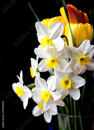 Fototapeta Naklejka Na Ścianę i Meble -  white springtime daffodil flower isolated on black background