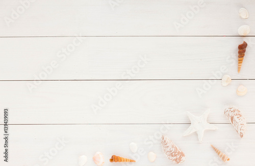 Fototapeta Frame made of sea shells on white wooden background. Flat lay.