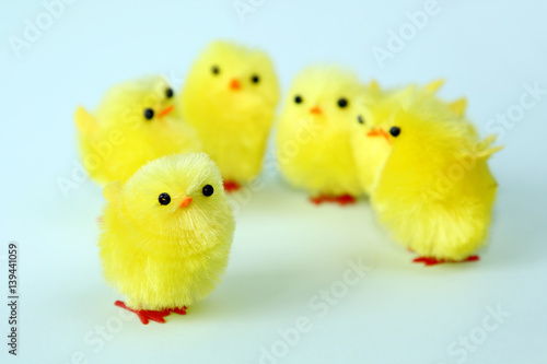 isolated group of easter chicken on green background © Olga Lietunova