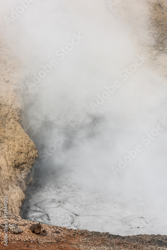 Boiling mud volcano in Yellowstone National Park with bubbles and steam