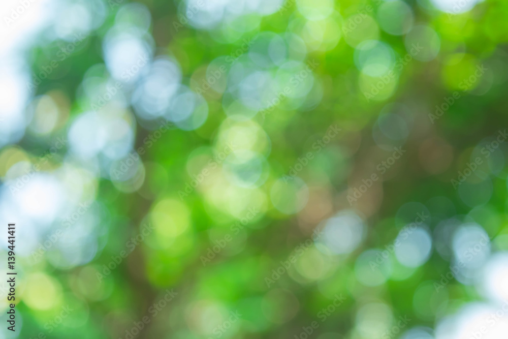 Abstract nature blurred circle green bokeh for Christmas or celebration  light holiday background.