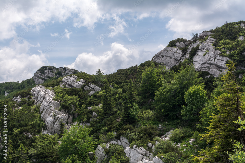 Folded layers rock formations in Risnjak, Croatian national park. Hikers can see this when travel Croatian mountains.