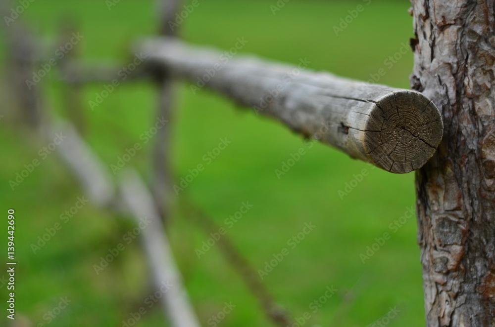 Old wood fence on green grass field Old wood fence on green grass field