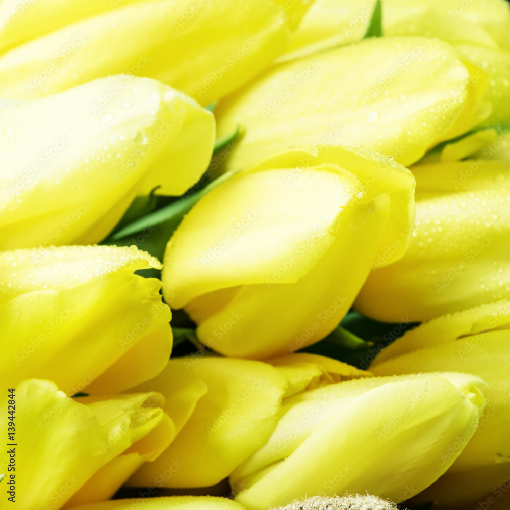 Yellow tulips, selective focus Yellow tulips, selective focus