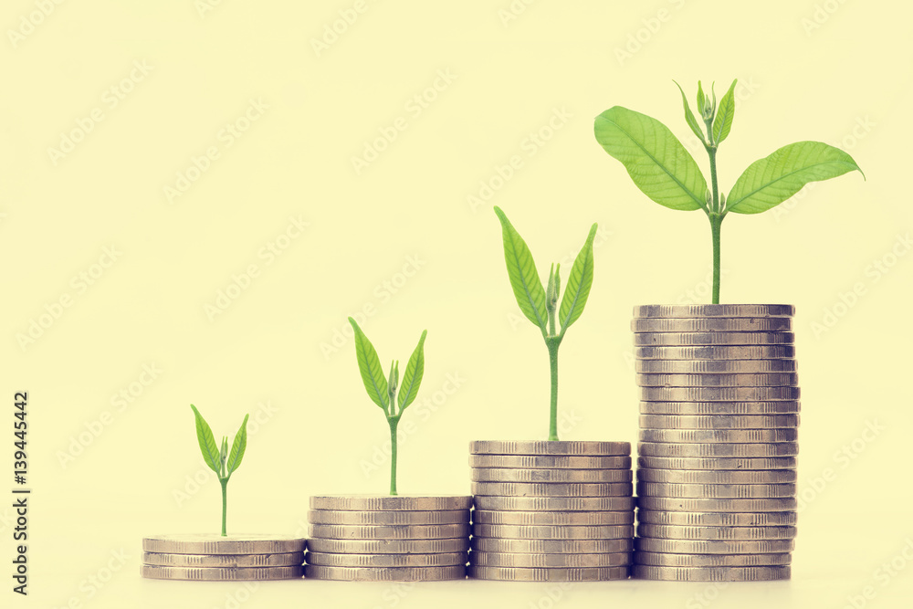 money coins arranged as a graph on white background money coins arranged as a graph on white background