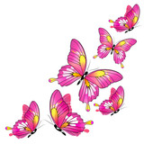 pink butterflies,watercolor, isolated on a white