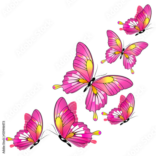 pink butterflies,watercolor, isolated on a white © aboard