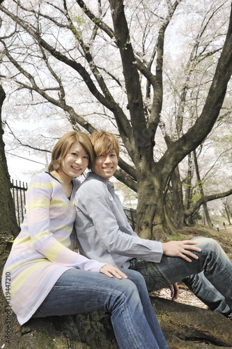 桜の咲く公園でデートする若いカップル