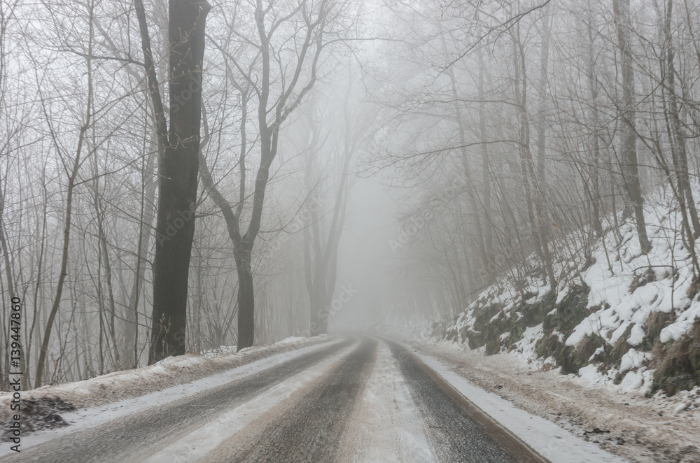 Winter landscape, country road in the fog surrounded by trees Winter landscape, country road in the fog surrounded by trees