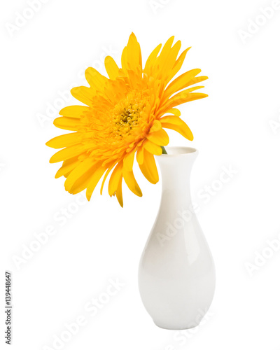 Yellow gerbera flower in vase © Wolna