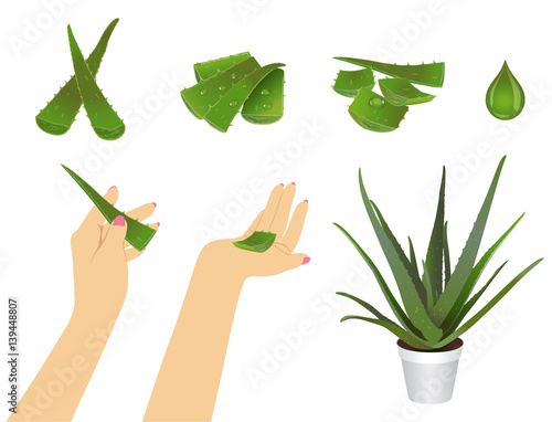 aloe pieces at different positions
