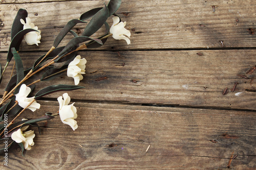 Flowers on wooden background 