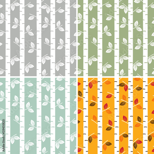 set of seamless pattern birch trees - vector illustration, eps