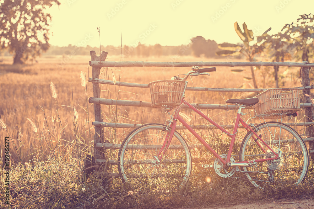 beautiful landscape image with Bicycle at summer grass field.classic bicycle,old bicycle style for greeting Cards ,post card