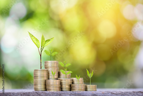 Finance and Money concept, Money coin stack growing graph with sunlight,investment