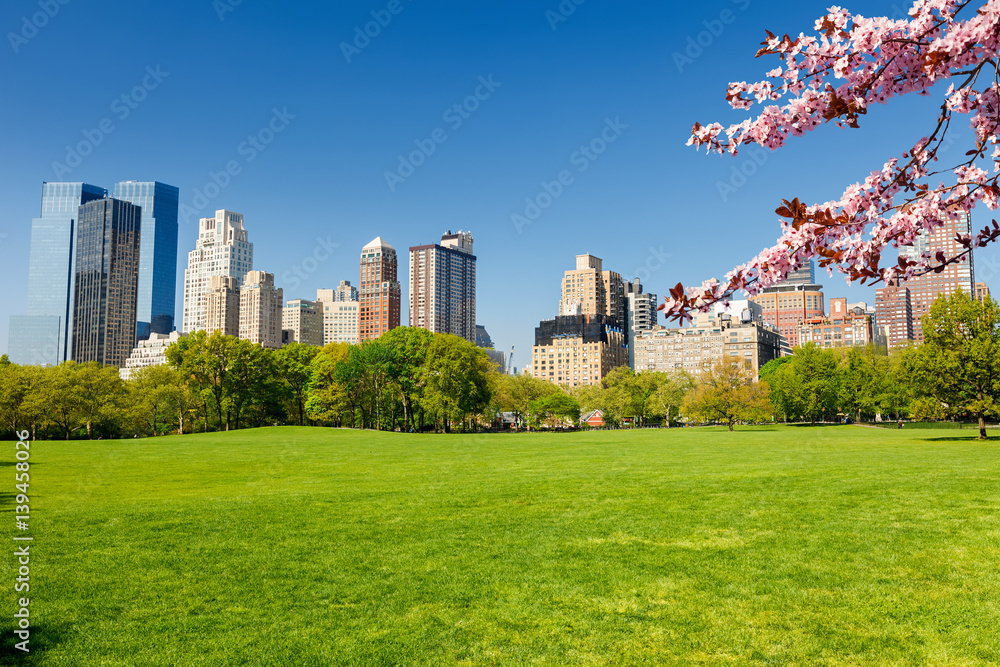Naklejka premium Central park at spring sunny day, New York City