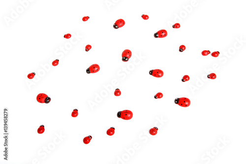 Collection of ladybugs isolated on white