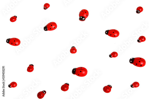 Collection of ladybugs isolated on white