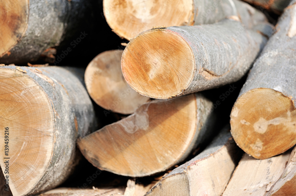 Wood logs close-up. Wood logs close-up.