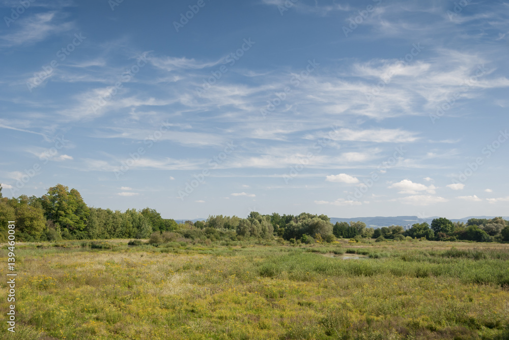 Réserve naturelle de la petite Camargue Alsacienne, Saint-Louis Réserve naturelle de la petite Camargue Alsacienne, Saint-Louis