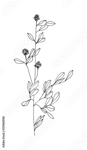 Fototapeta Naklejka Na Ścianę i Meble -  Hand drawn herb. Sketch style. Vector illustration.