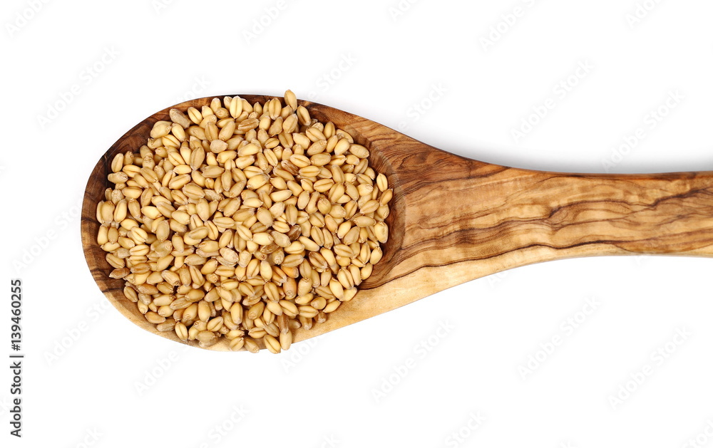 pile wheat kernels with wooden spoon isolated on white, top view pile wheat kernels with wooden spoon isolated on white, top view