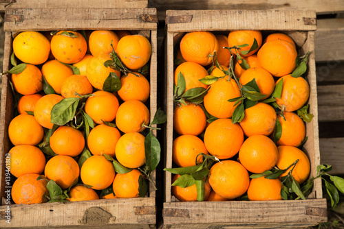wooden box with freshly picked ripe oranges photo