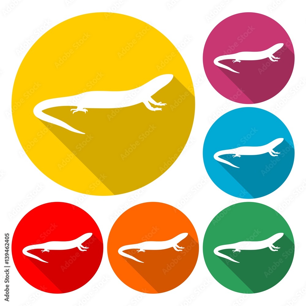Lizard icon vector - Illustration Lizard icon vector - Illustration
