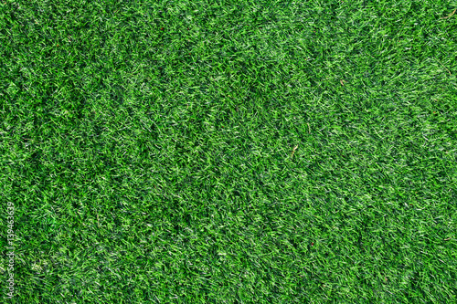 Top view green grass background for texture