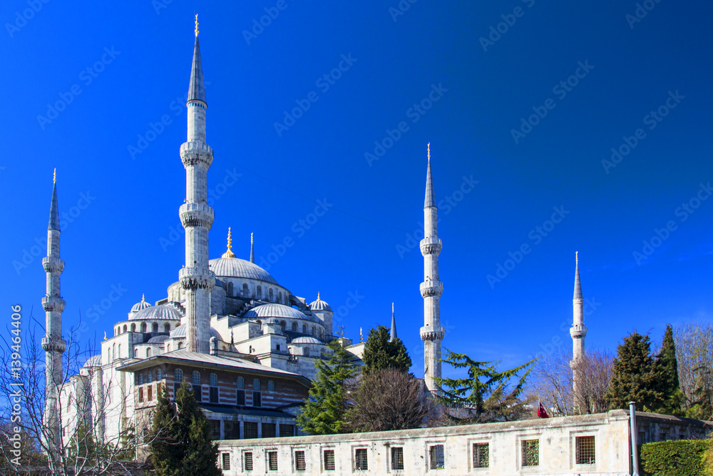 Fantastic view of Blue Mosque (Sultan Ahmet) in Istanbul, Turkey