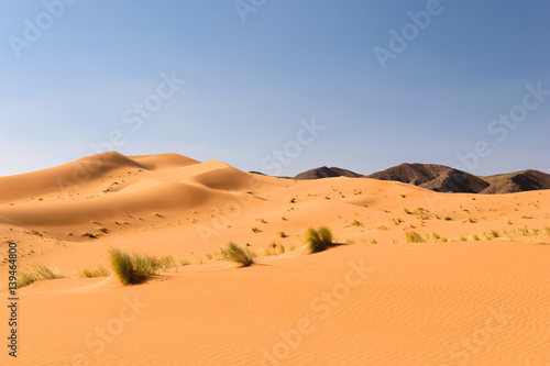 Sand dunes Ouzina, Shara desert, Morocco 