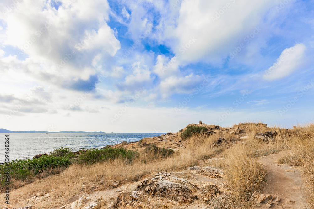 Beautiful seascape with rocks and meadow in cloudy blue sky