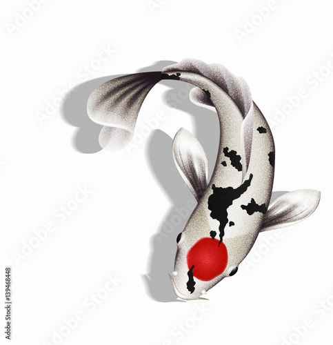 Koi carp illustration