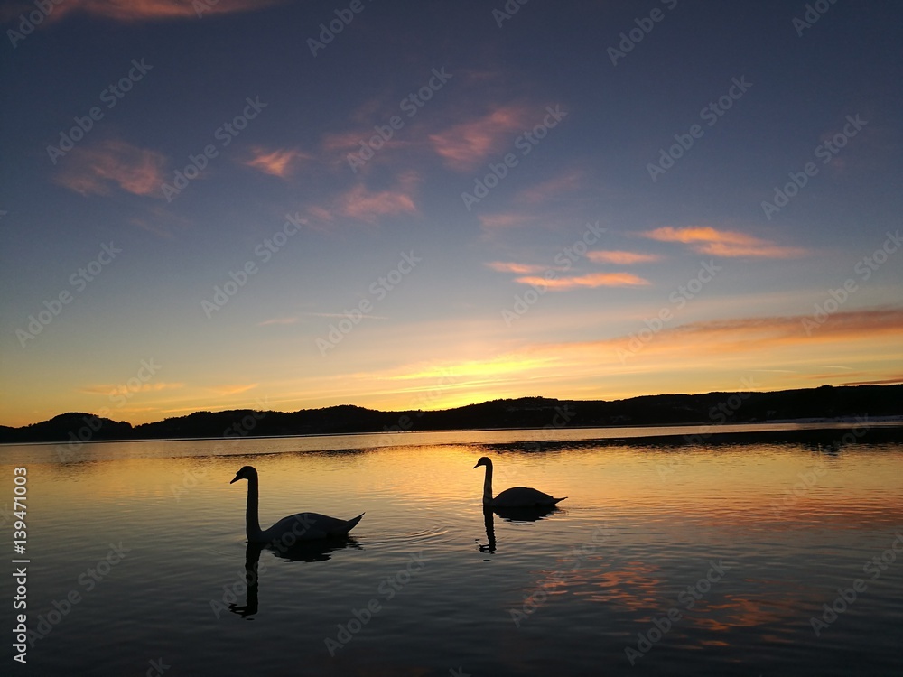 Fototapeta premium idyllic sunset