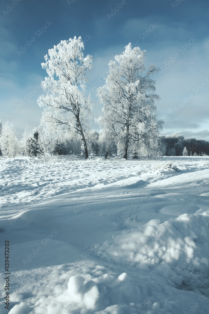 Obraz premium Beautiful winter landscape