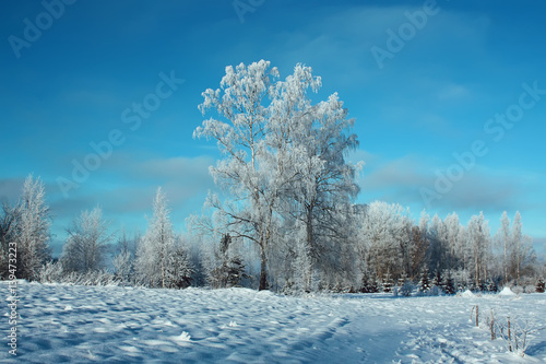 Beautiful winter landscape