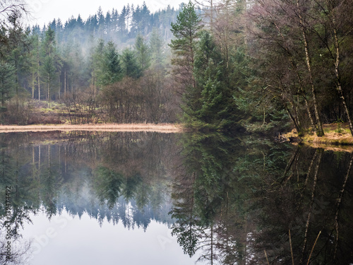Lake in Galloway park, Scotland photo
