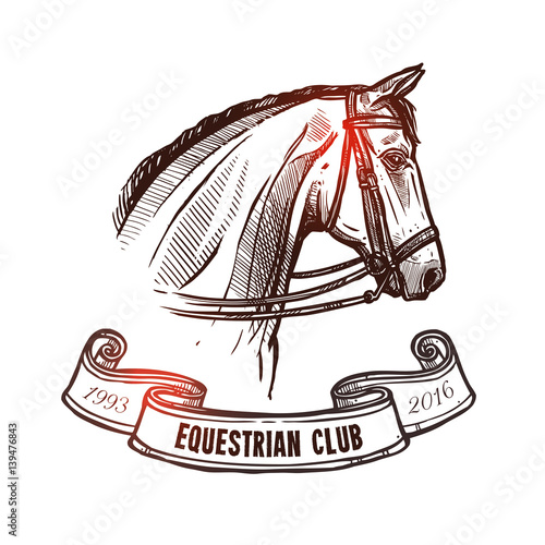 Hand Drawn Horse Head