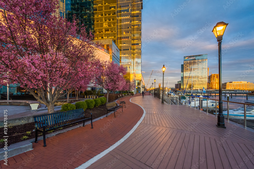 Modern buildings and the Waterfront Promenade in Harbor East, Baltimore, Maryland. - obrazy, fototapety, plakaty 