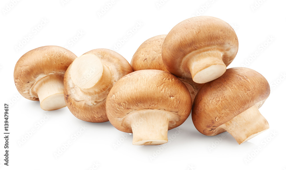 Mushrooms isolated on white background Mushrooms isolated on white background