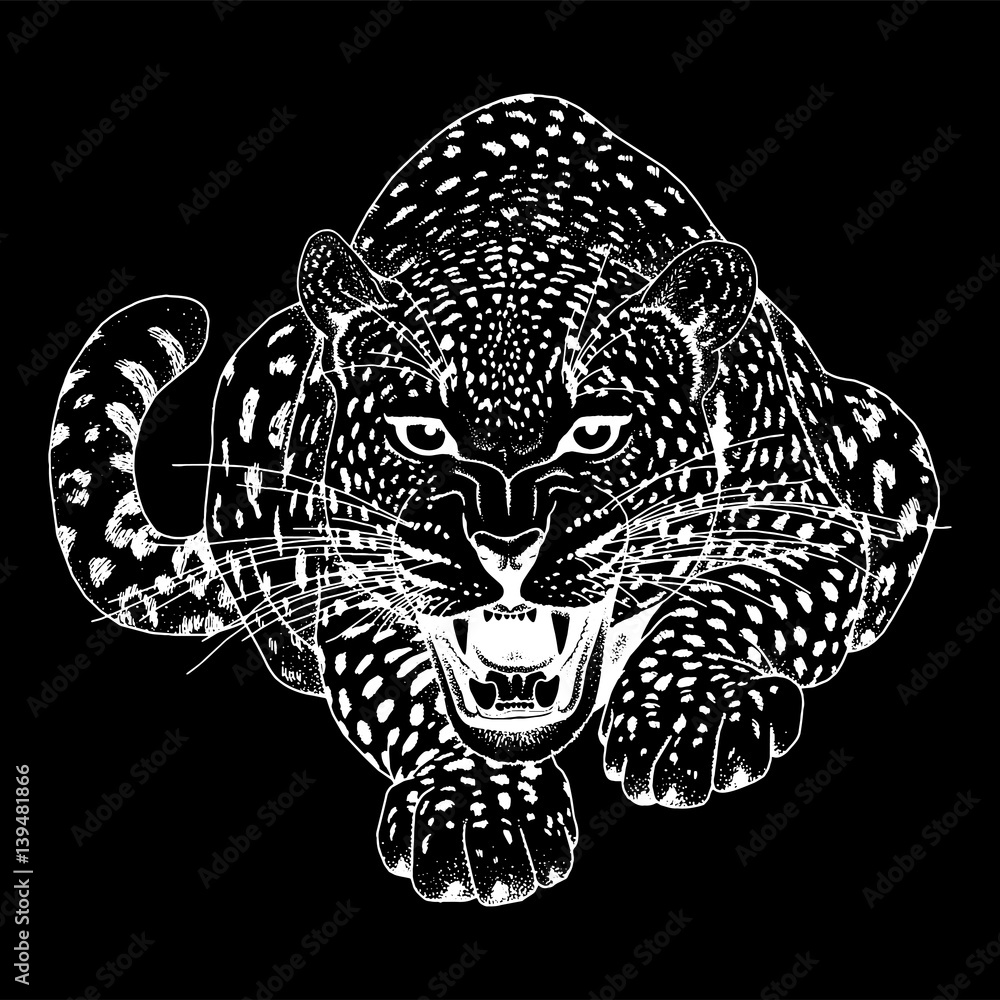 Fototapeta premium Leopard face tattoo ,Vector illustration, print