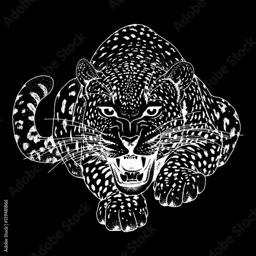 Fototapeta Naklejka Na Ścianę i Meble -  Leopard face tattoo ,Vector illustration, print