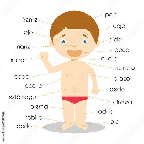 Human body parts vocabulary in spanish Vector Illustration