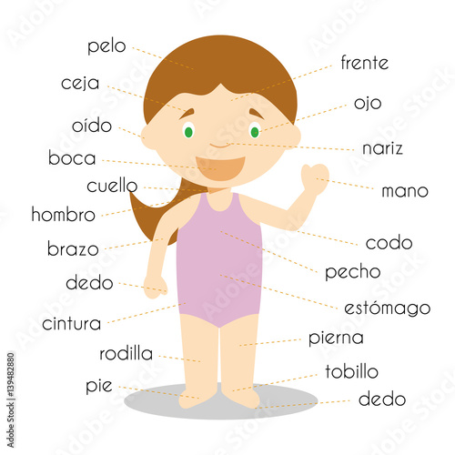 Human body parts vocabulary in spanish Vector Illustration